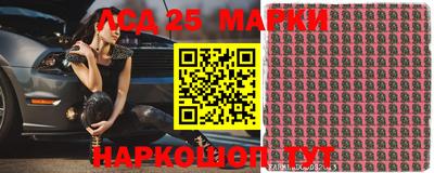стаф Боровичи