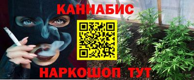 стаф Боровичи
