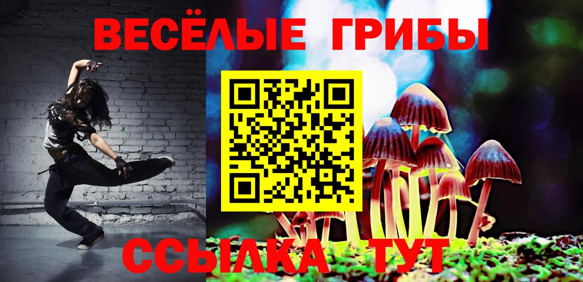 продажа наркотиков  Галлюциногенные грибы прущие грибы  Вход с VPN  Славгород 